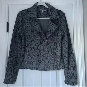Women's Gray Snake Print Jacket